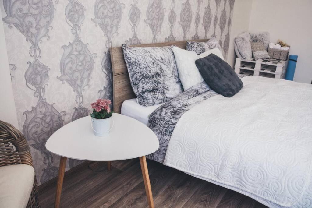 Stylovy Apartman V Centru Nachoda Extérieur photo
