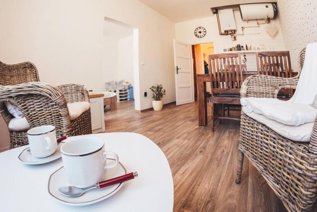 Stylovy Apartman V Centru Nachoda Extérieur photo